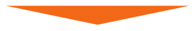 Newsletter Newsletter
